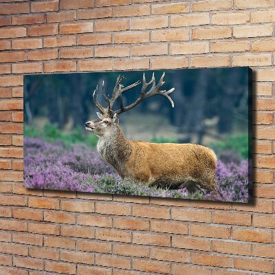 Large canvas wall art Deer among lavender