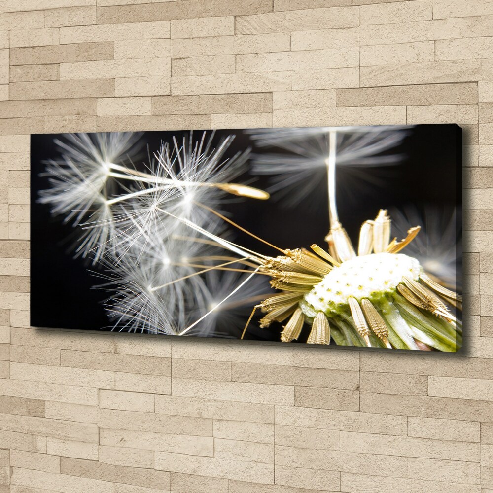 Canvas wall art Dandelion seeds