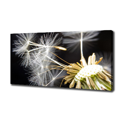 Canvas wall art Dandelion seeds