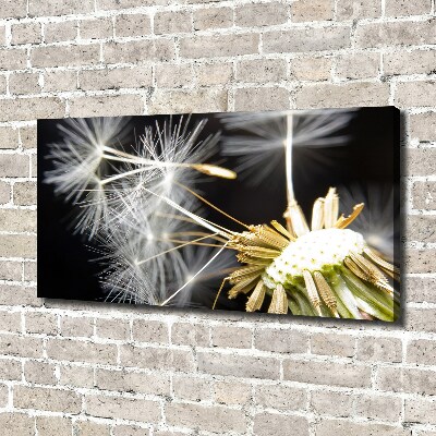 Canvas wall art Dandelion seeds