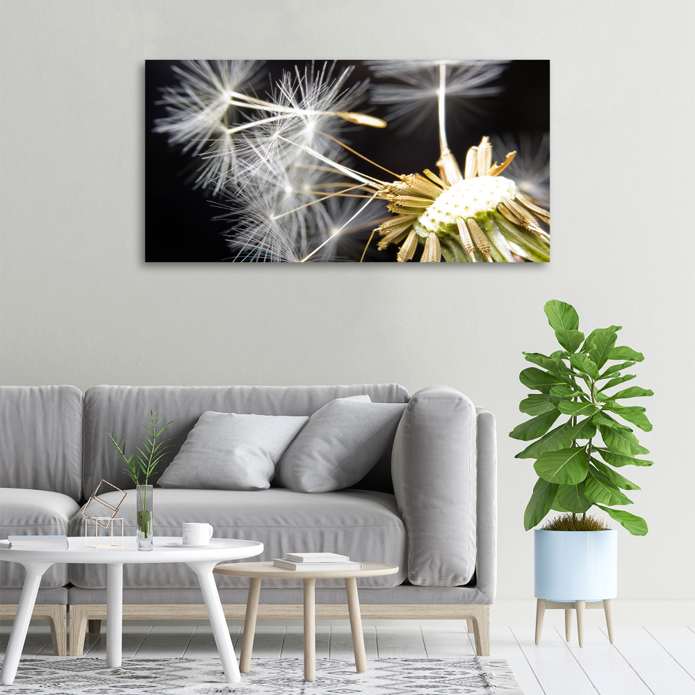 Canvas wall art Dandelion seeds