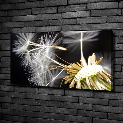 Canvas wall art Dandelion seeds