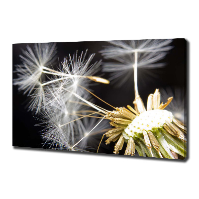 Canvas wall art Dandelion seeds