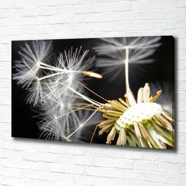 Canvas wall art Dandelion seeds