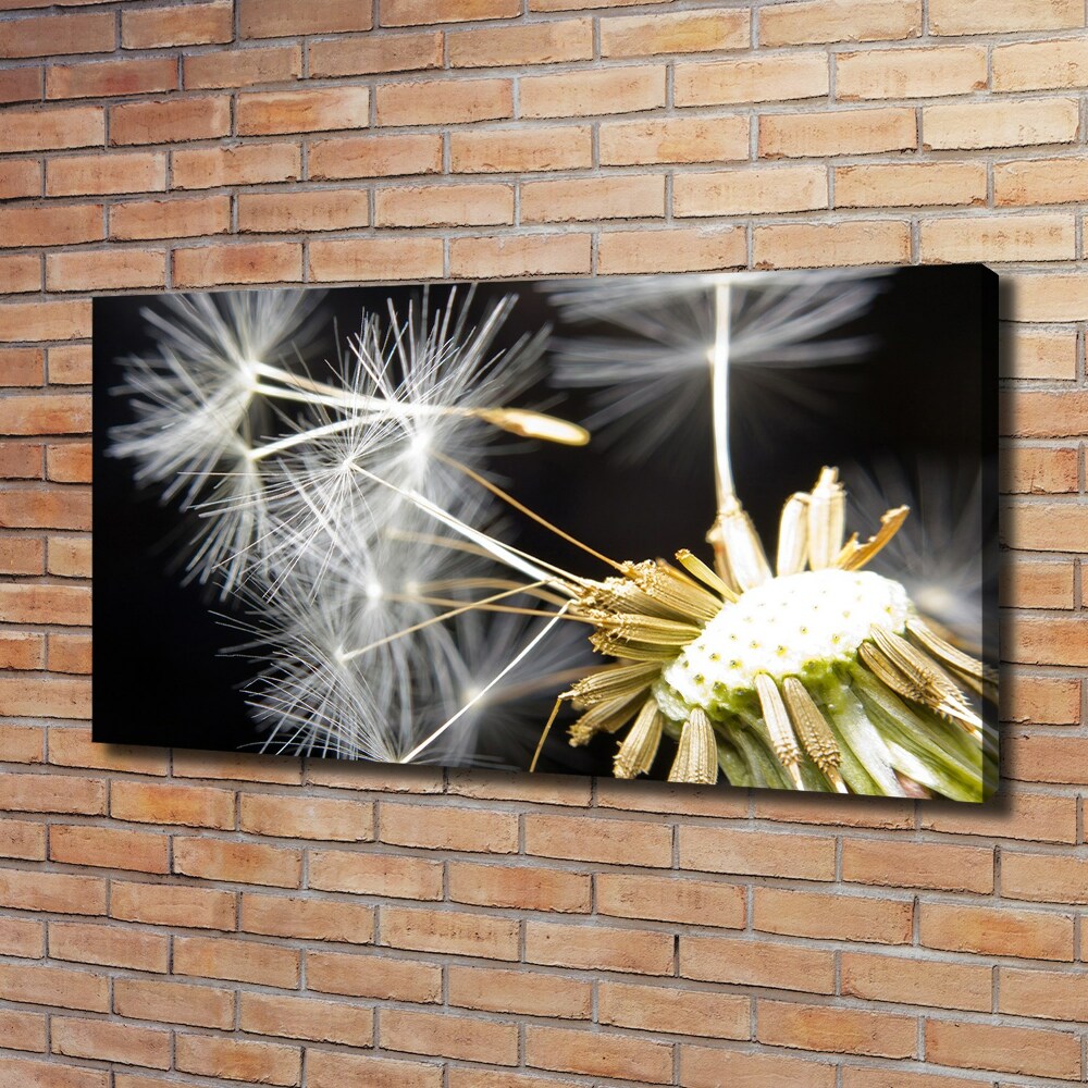 Canvas wall art Dandelion seeds