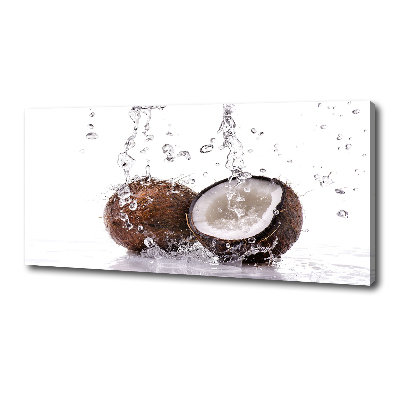 Canvas wall art Coconut and water