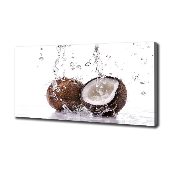 Canvas wall art Coconut and water