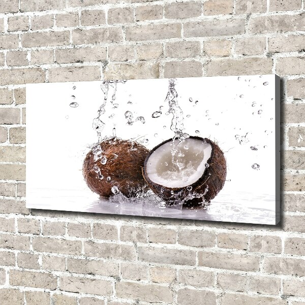 Canvas wall art Coconut and water