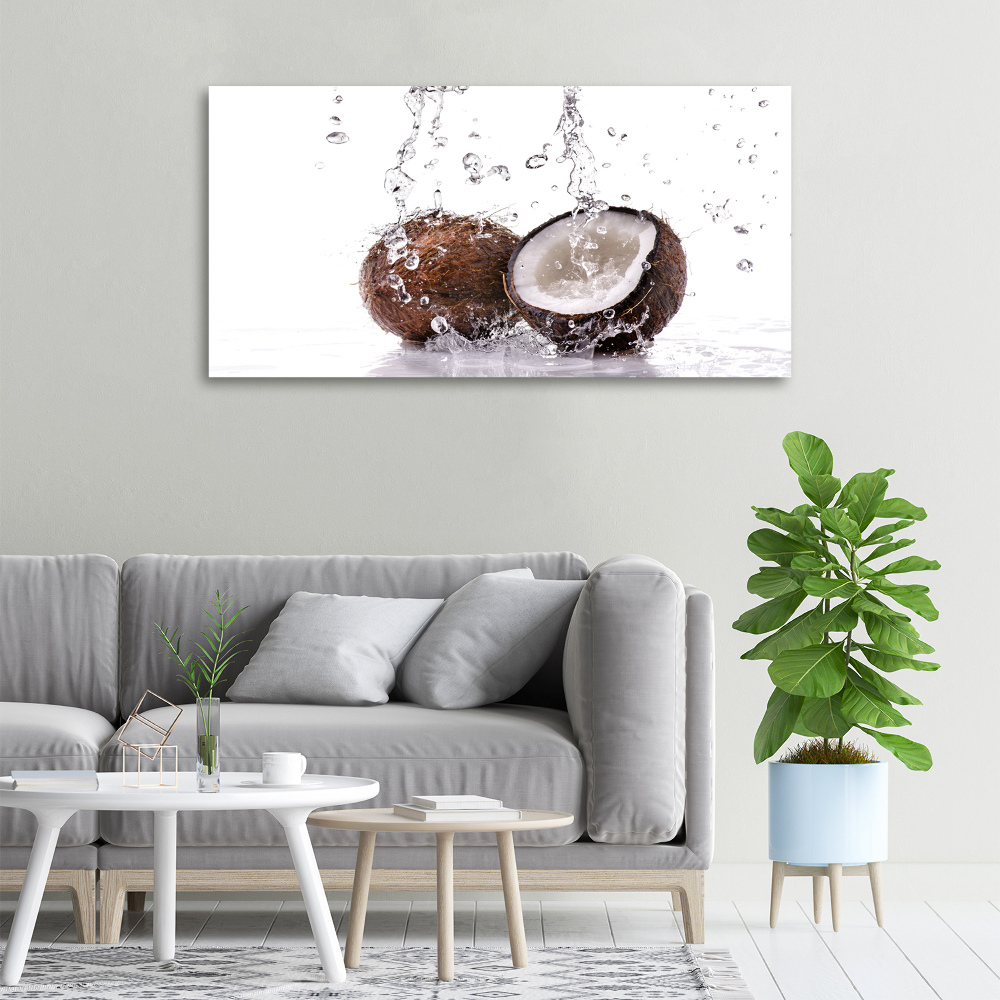 Canvas wall art Coconut and water