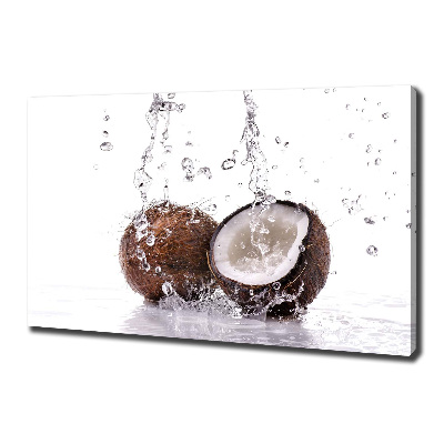 Canvas wall art Coconut and water