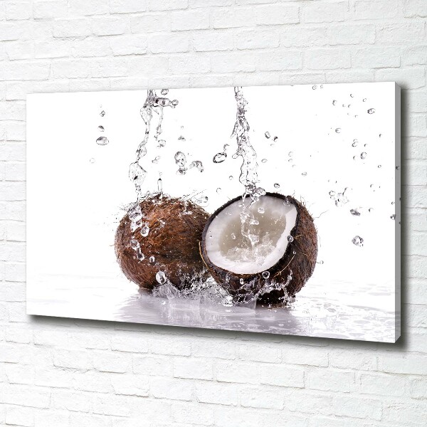 Canvas wall art Coconut and water