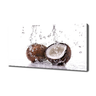 Canvas wall art Coconut and water