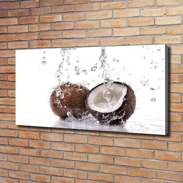 Canvas wall art Coconut and water