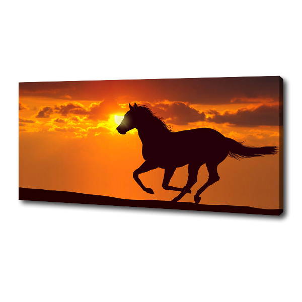 Large canvas wall art Sunset horse