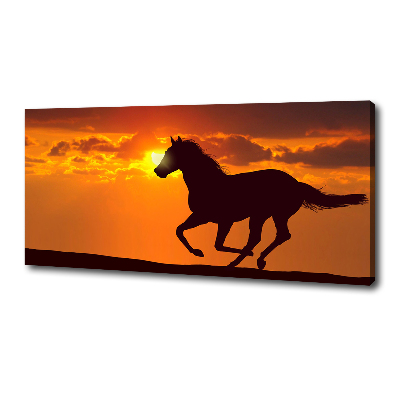 Large canvas wall art Sunset horse