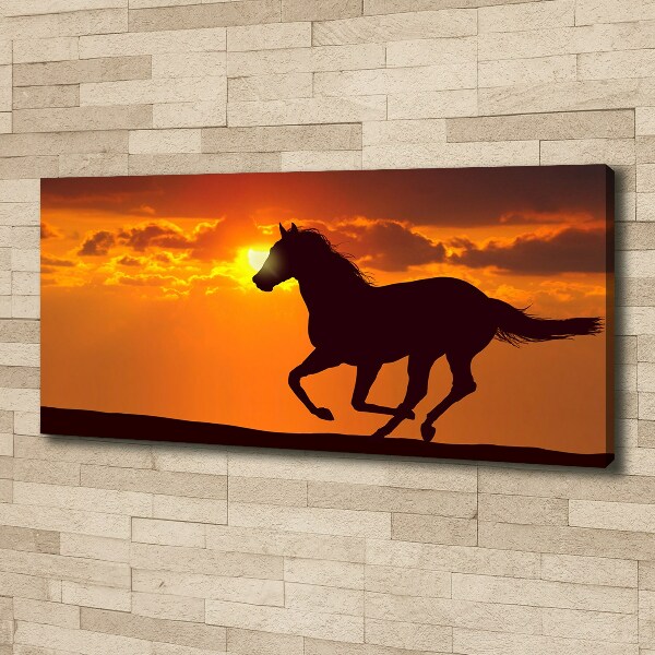 Large canvas wall art Sunset horse