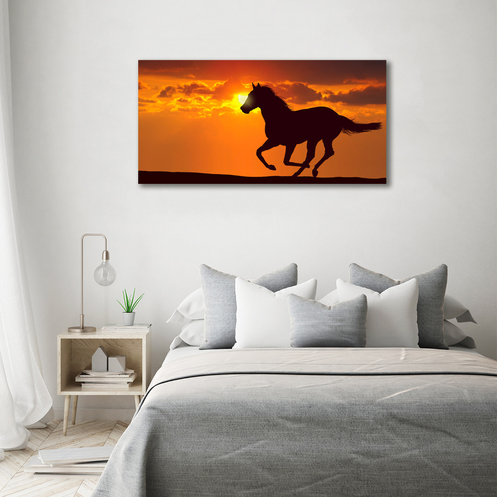 Large canvas wall art Sunset horse