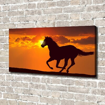 Large canvas wall art Sunset horse