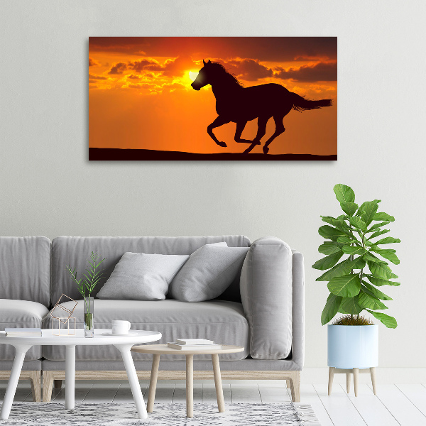 Large canvas wall art Sunset horse