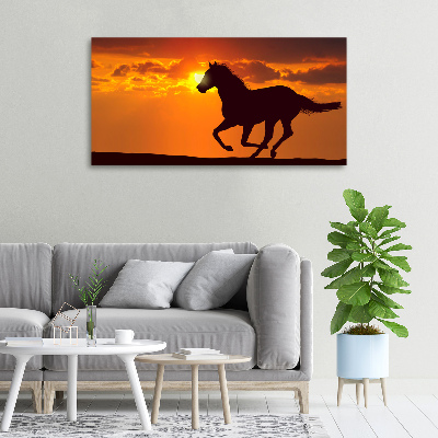 Large canvas wall art Sunset horse