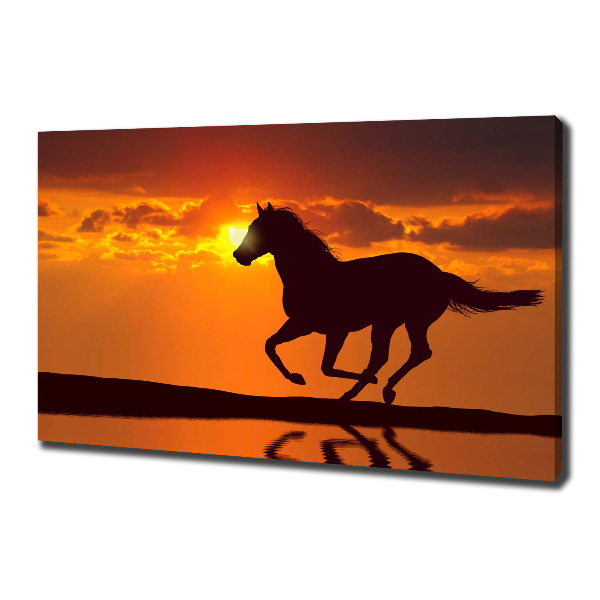 Large canvas wall art Sunset horse