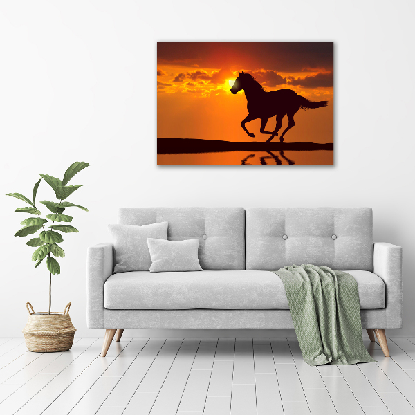 Large canvas wall art Sunset horse