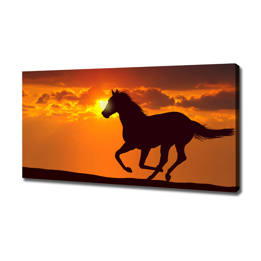 Large canvas wall art Sunset horse