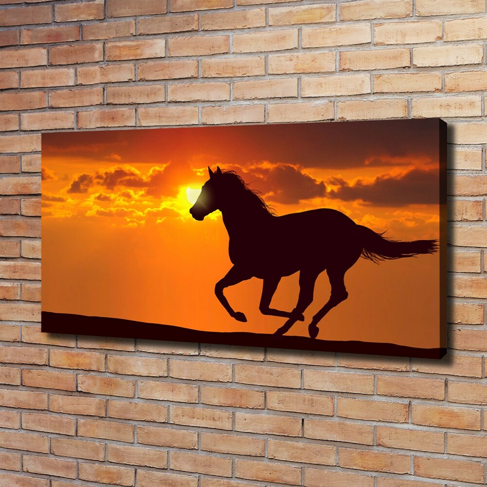 Large canvas wall art Sunset horse