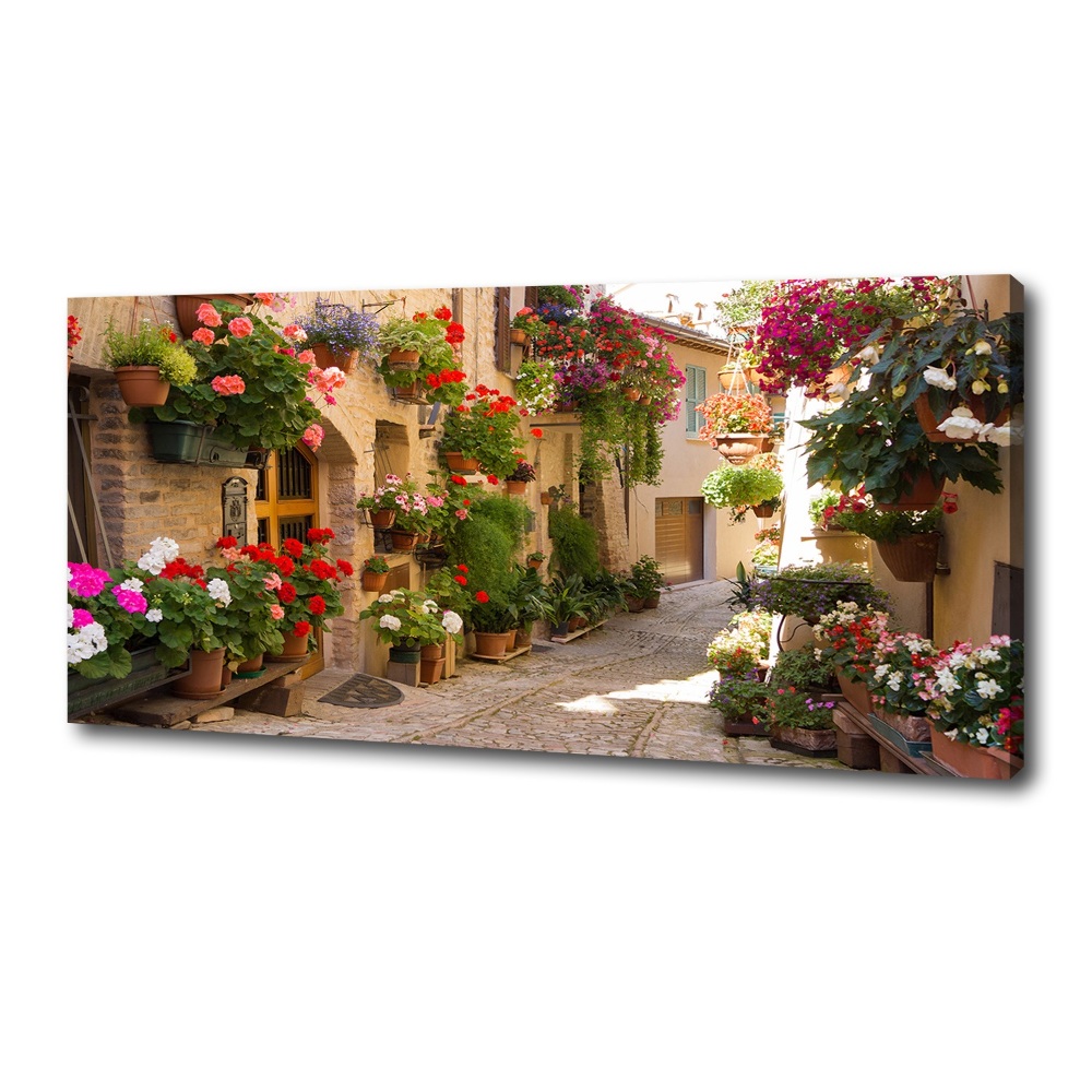 Canvas wall art Charming street