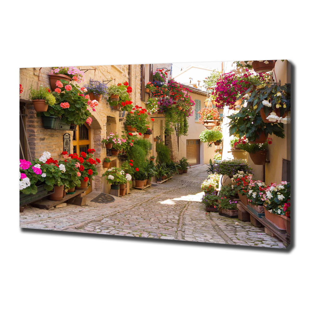 Canvas wall art Charming street