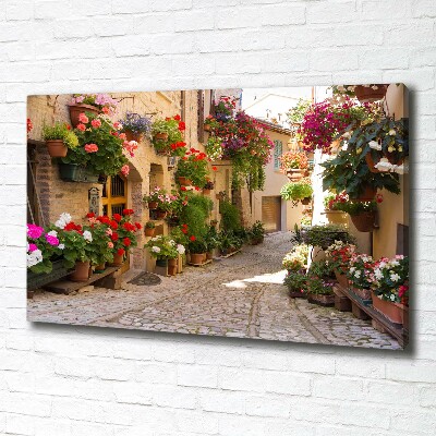 Canvas wall art Charming street