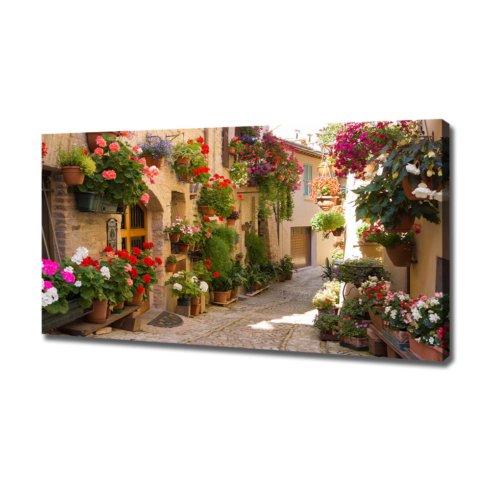 Canvas wall art Charming street