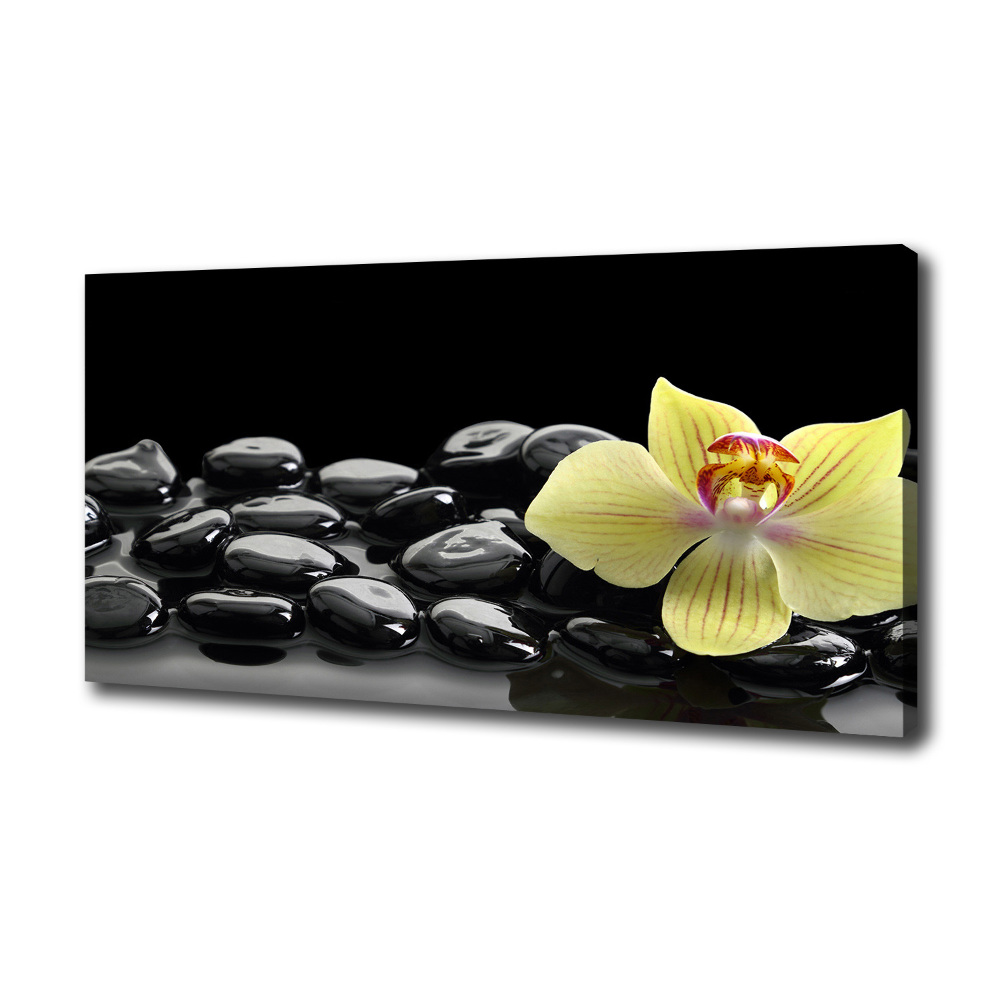 Canvas wall art Orchid