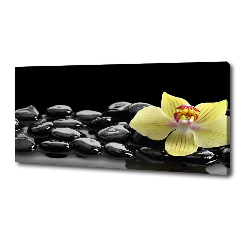 Canvas wall art Orchid