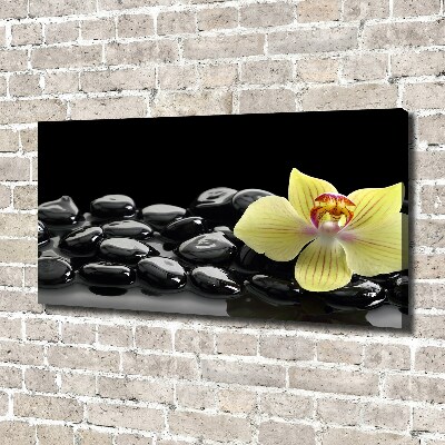 Canvas wall art Orchid