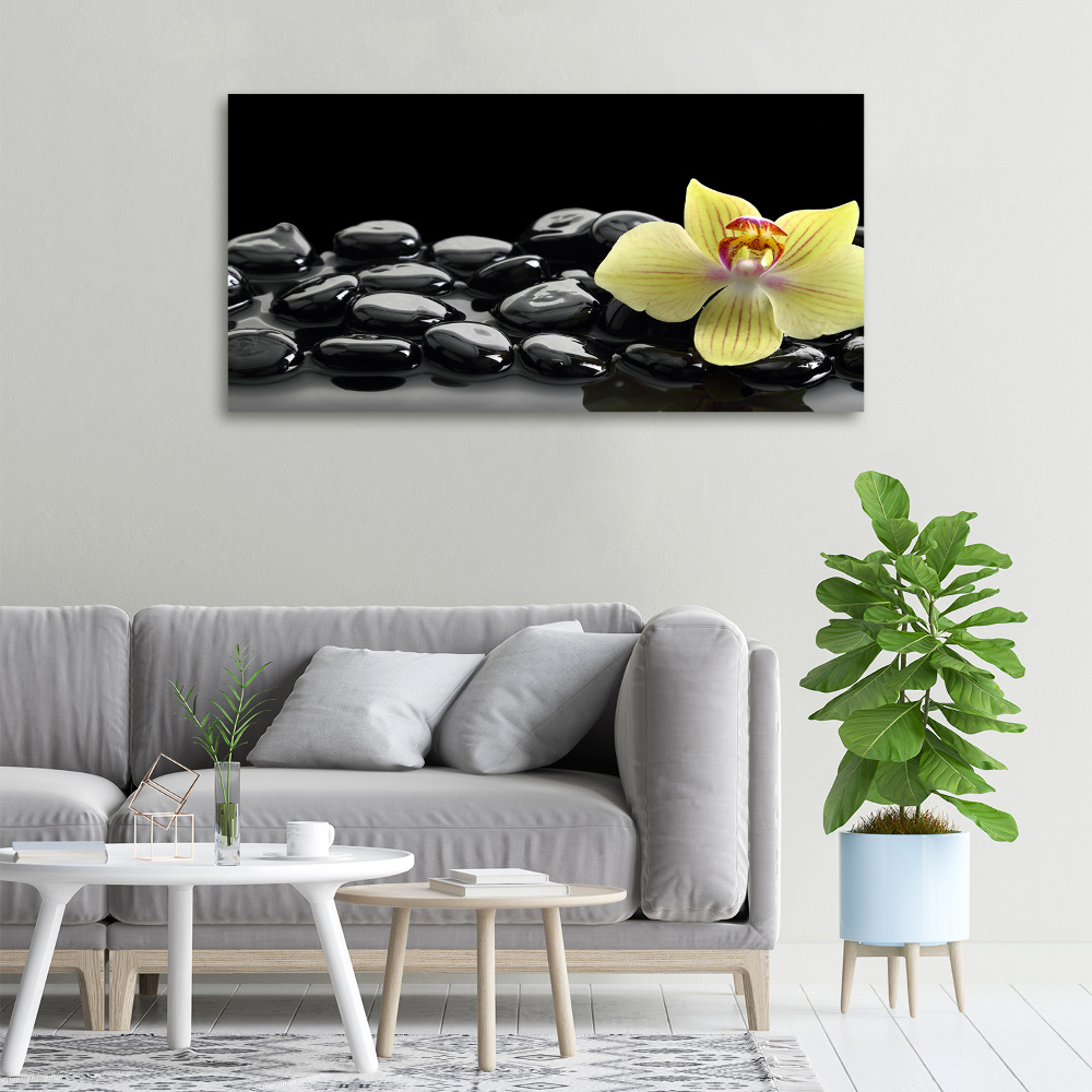 Canvas wall art Orchid