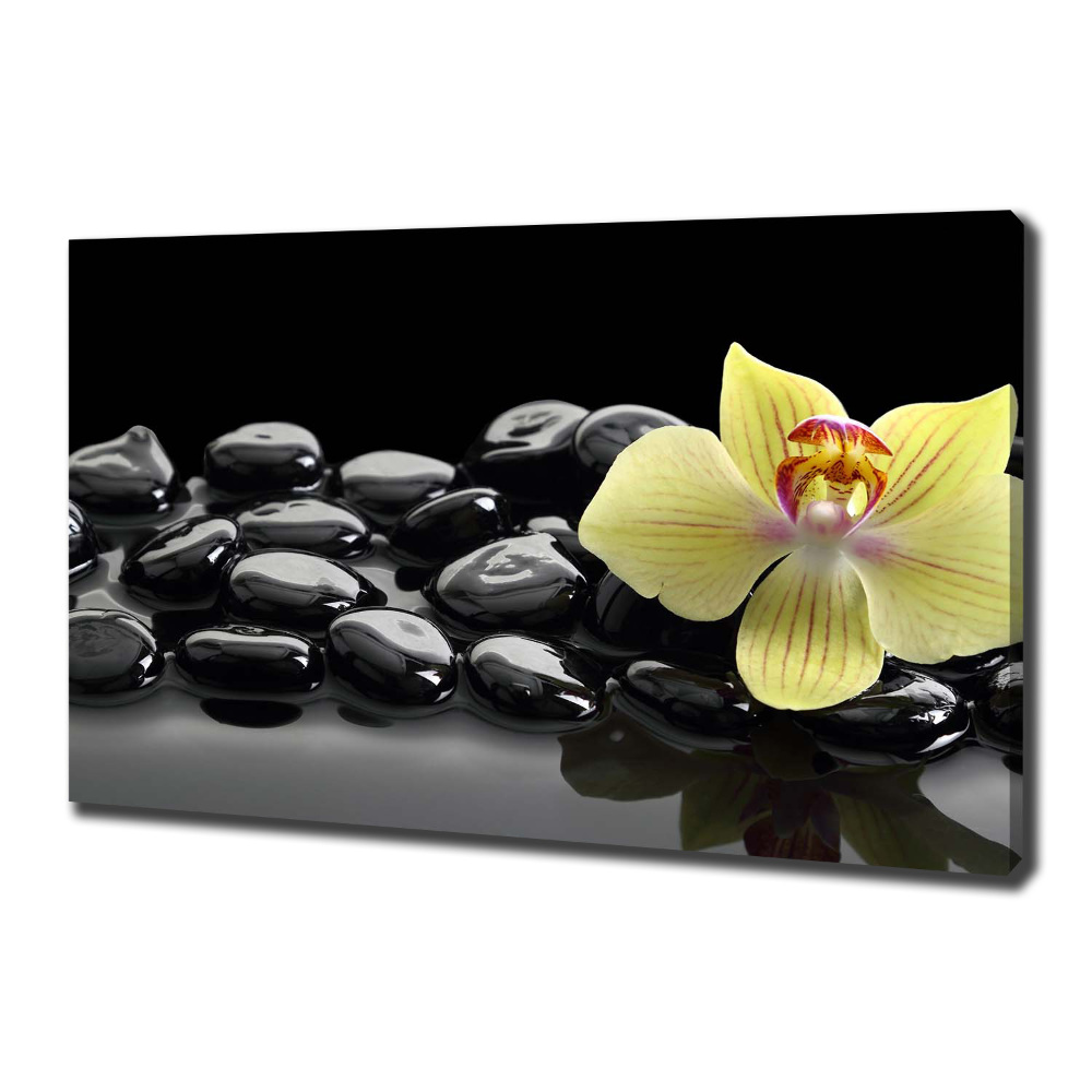 Canvas wall art Orchid