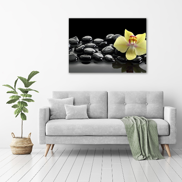 Canvas wall art Orchid