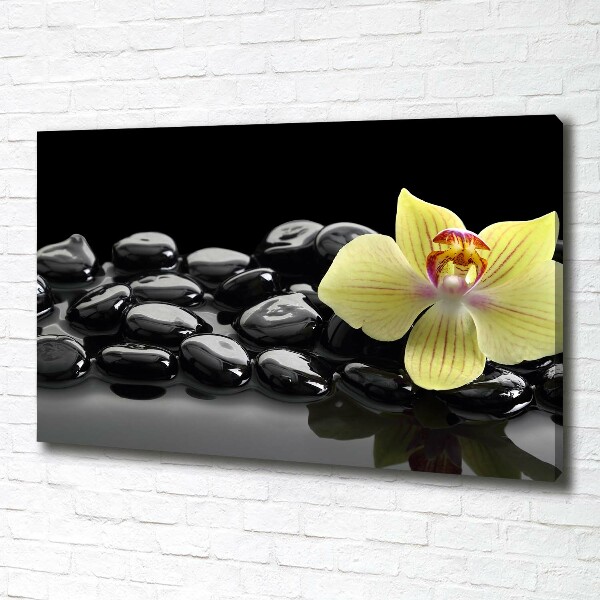 Canvas wall art Orchid