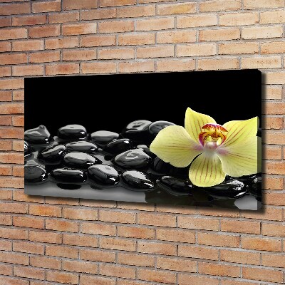 Canvas wall art Orchid