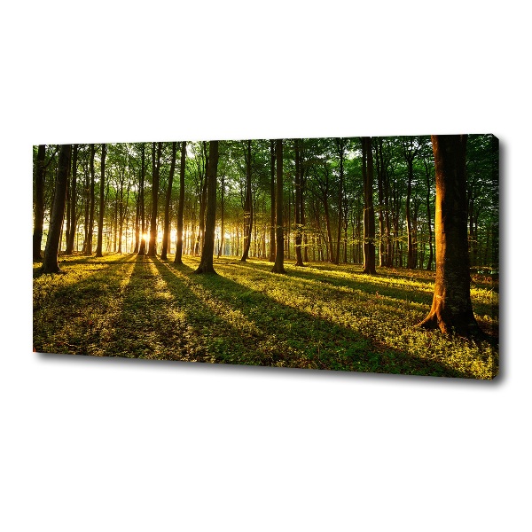 Canvas wall art Rays of the sun