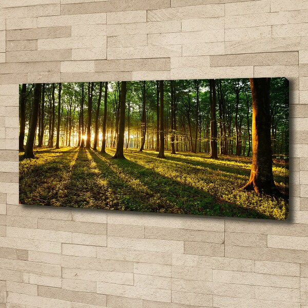 Canvas wall art Rays of the sun