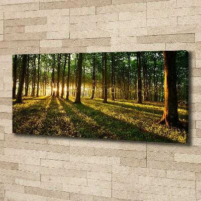 Canvas wall art Rays of the sun