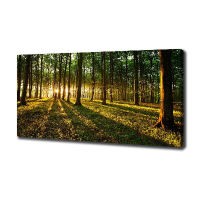 Canvas wall art Rays of the sun