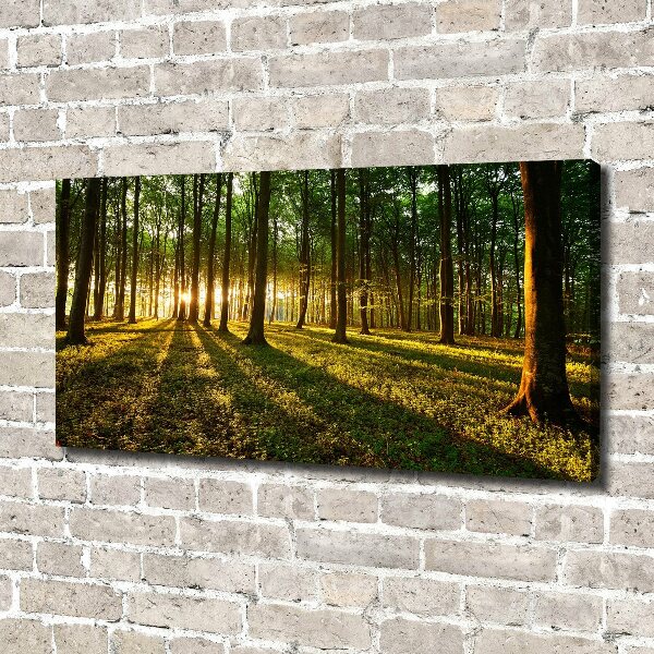 Canvas wall art Rays of the sun