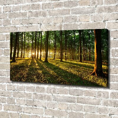 Canvas wall art Rays of the sun