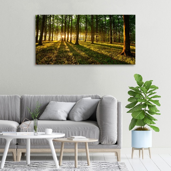 Canvas wall art Rays of the sun