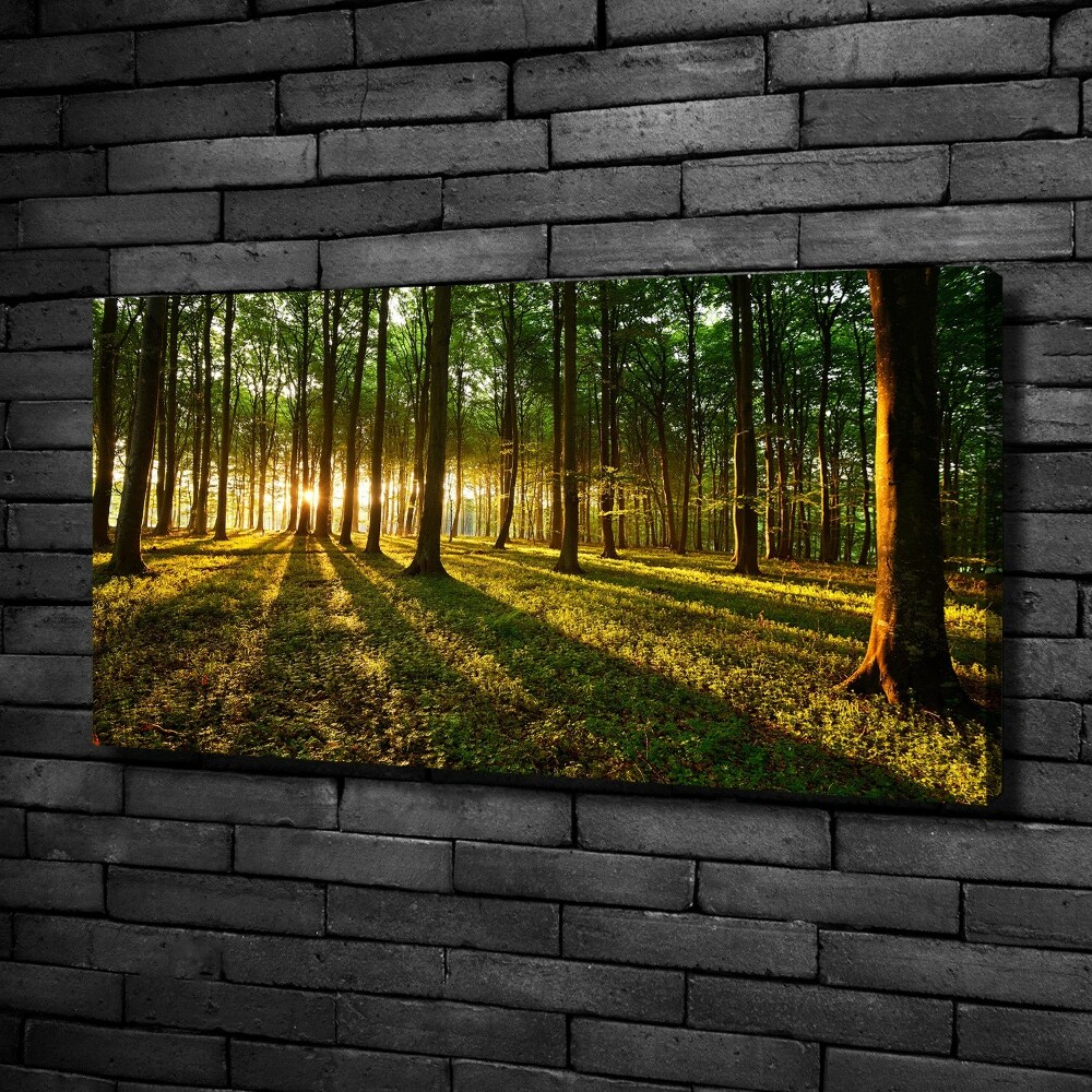 Canvas wall art Rays of the sun