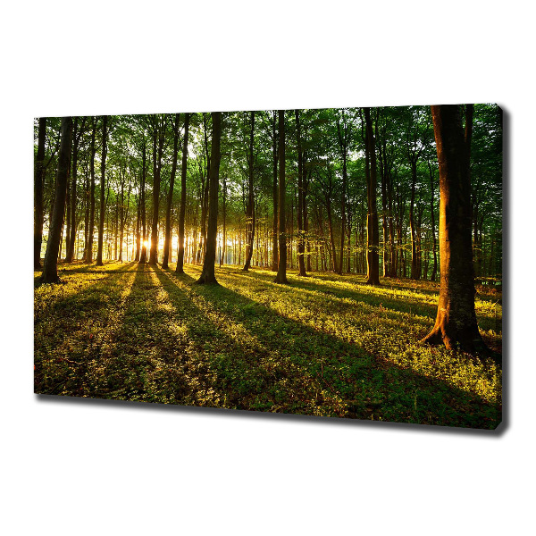 Canvas wall art Rays of the sun