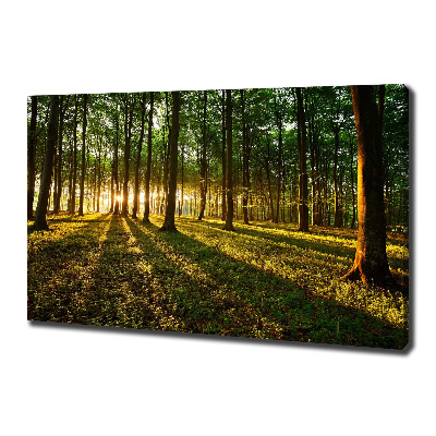 Canvas wall art Rays of the sun